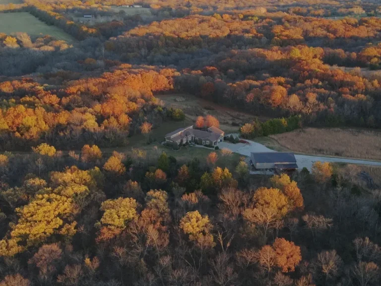 Rural Recon 2 768x576