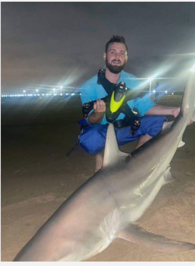 mrbojacks 8 768x1045