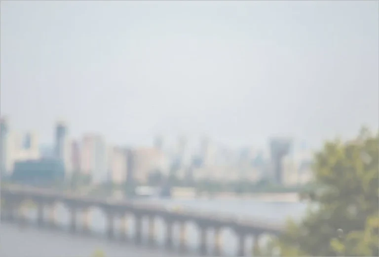 priority one 1 768x521