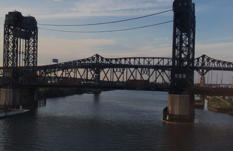 terrestrial 4 768x498