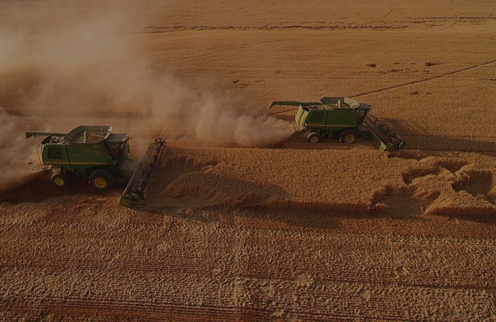 terrestrial 5 1024x664