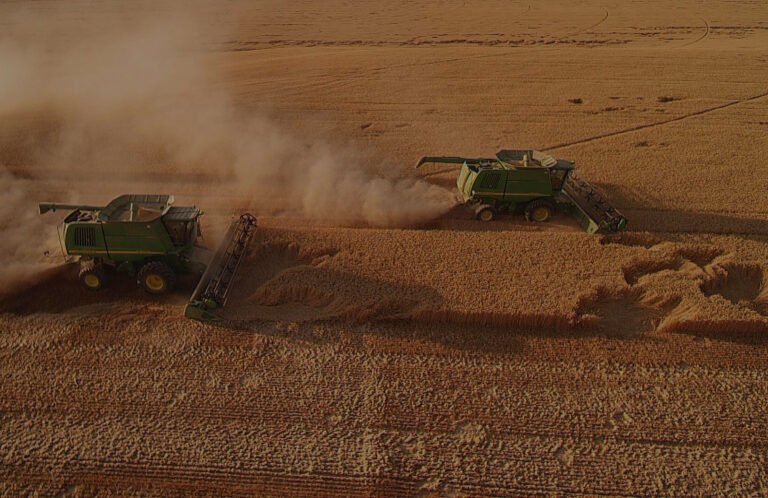 terrestrial 5 768x498