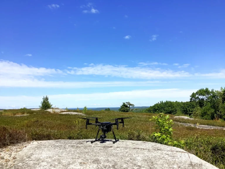 Flit Drones 1 768x576